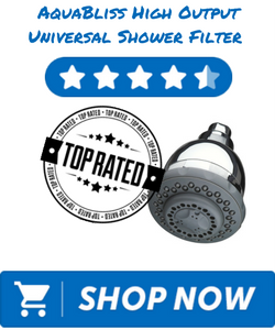 Culligan WSH-C125 Wall-Mount 10,000 Gallon Capacity Filtered Showerhead