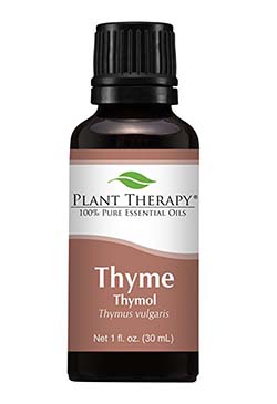 Plant Therapy Thyme Thymol Essential Oil