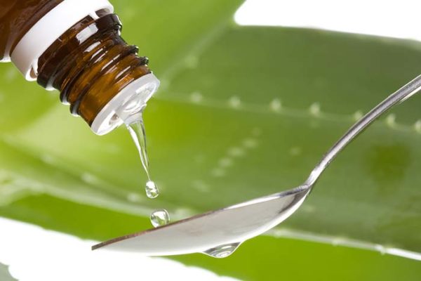 Aloe Vera - alternative medicine essential oils for hair growth