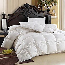 Egyptian Bedding Luxurious Comforter