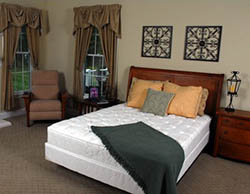 Kathy Ireland Home by Therapedic Paradise Cafe Queen