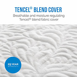LUCID 10 Inch Latex Foam Mattress