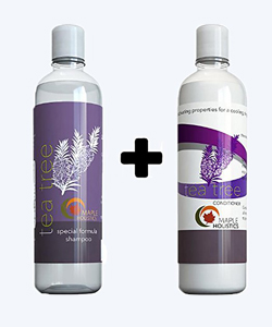 Maple Holistics Tea Trea Shampoo and Conditioner