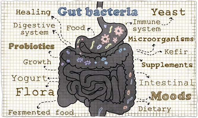 Probiotics for constipation