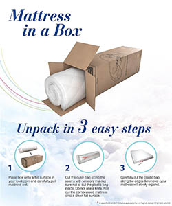 Signature Sleep Memoir 12-Inch Memory Foam Mattress