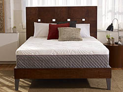 Sleep Innovations Shiloh 12_ Memory Foam Mattress