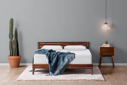 Tuft & Needle Mattress, Queen