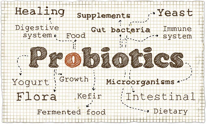 best probiotics for children
