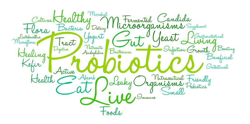 probiotics for horses
