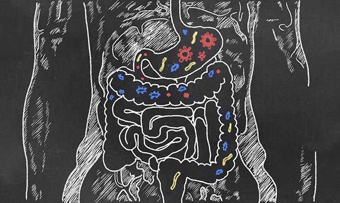 the best probiotic on the market the best probiotic on the market