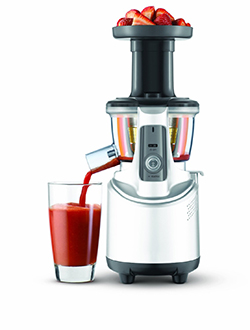 BJS600XL Fountain Crush Masticating Slow Juicer by Breville