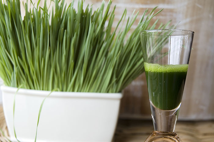 best wheatgrass juicer