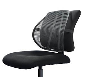 Easy Posture Lumbar Back Support Mesh by Easy Posture Brands
