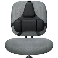 Professional Series Back Support by Fellowes