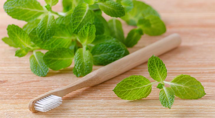 best vegan toothpaste