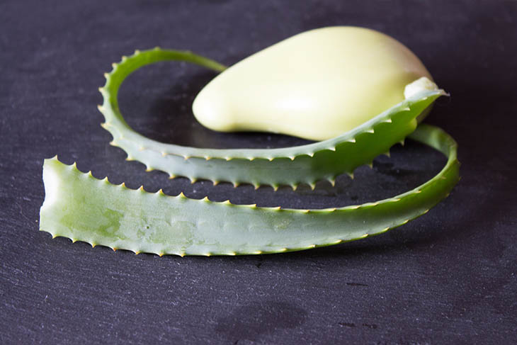 aloe vera soap recipe