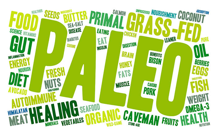 best paleo protein bars