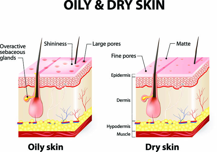 best soap for oily skin
