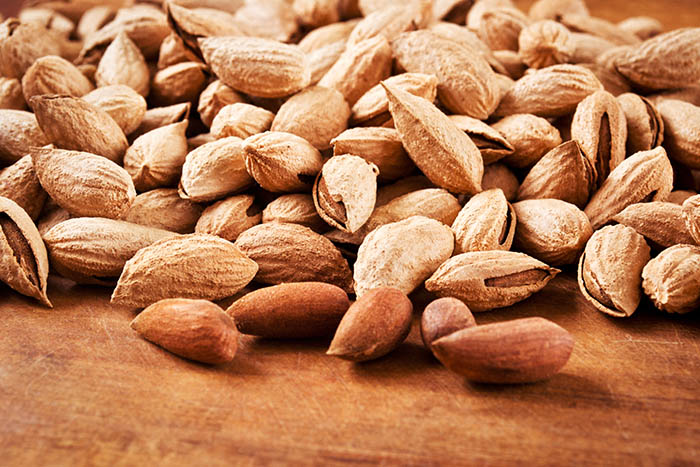 paleo energy bars