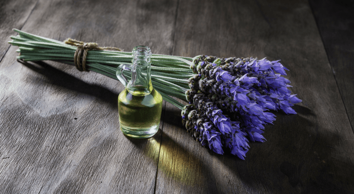 Lavender Oil Lavender Oil