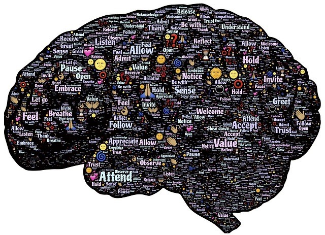 Brain Map