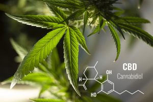 cbd elements