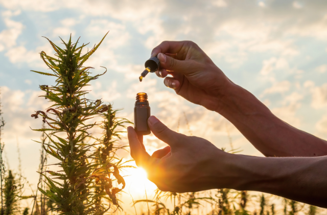 CBD Oil drops