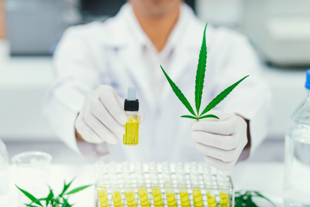 cannabidoil processed in the lab