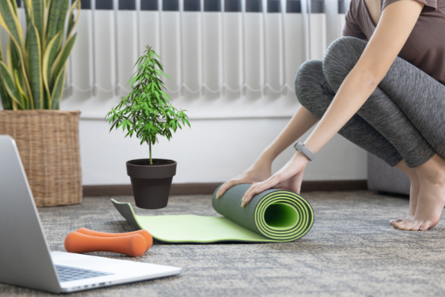 cannabis and exercise