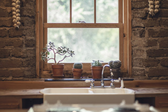 cacti pots by the kitchen window