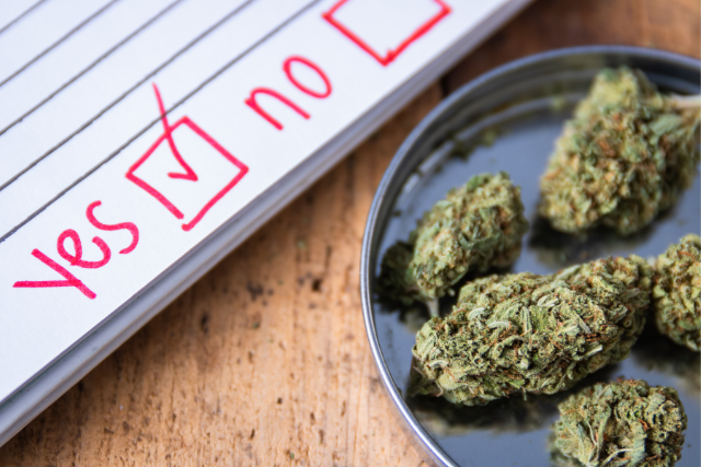 legality of medical marijuana