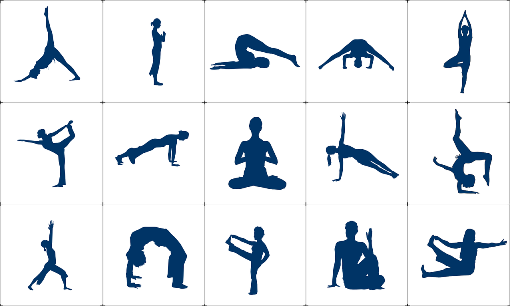 explain why it is important to assess flexibility both before starting and during a workout regimen.